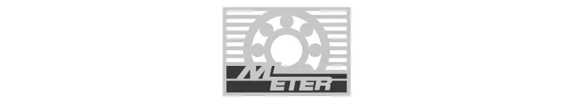 Meter Logo